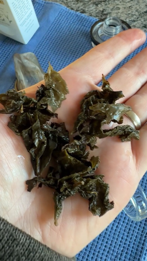 Steeped oolong leaves opened up in an open hand